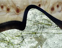 Graffiti