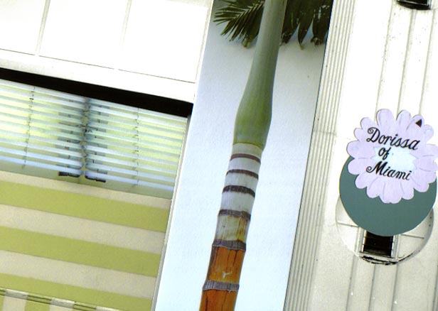 Dorissa of Miami Young palm tree with flower-shaped sign