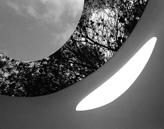 B&W ceiling hole with pine branches