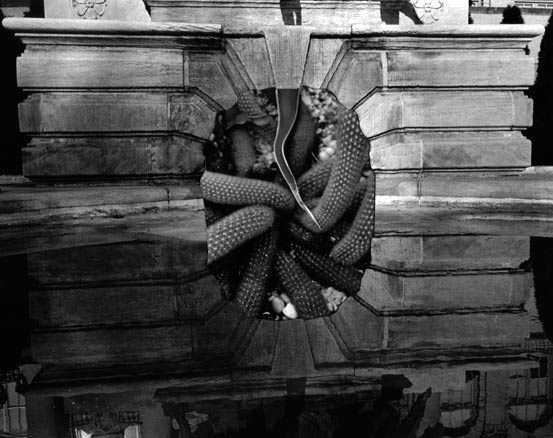 B&W stone arch with cacti