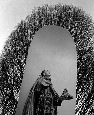 B&W statue of a monk surrounded by a halo of tree branches