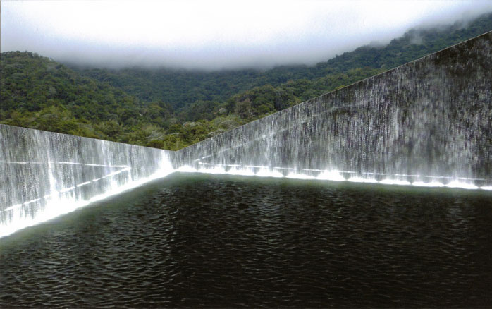 rainforest trees and fog above reflecting pool