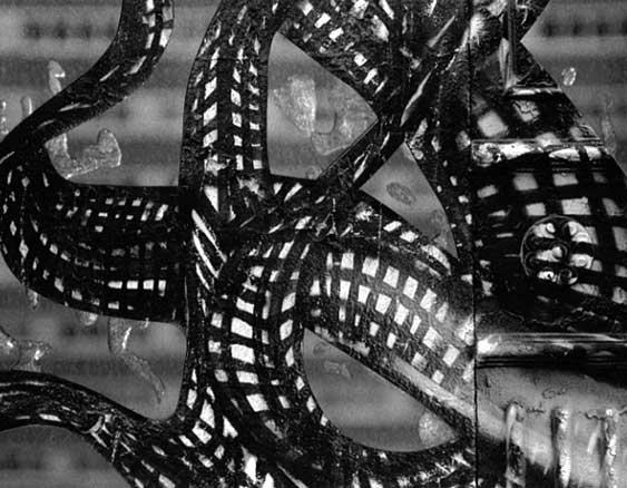 Black and white Williamsburg graffiti