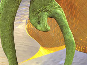 trees